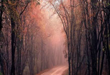 记者：蒋圣龙在国足一直带伤作战，上颌骨额突骨折的他仍在恢复中.