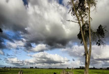 记者：蒋圣龙在国足一直带伤作战，上颌骨额突骨折的他仍在恢复中.