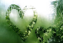 亚星游戏：双抢七惜败，德约科维奇无缘生涯百冠！19岁黑马夺冠创多项纪录.